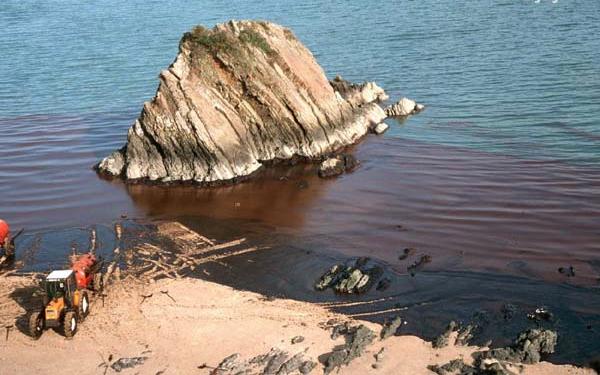 oil[1].jpeg (47600 bytes)