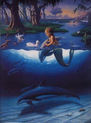 boy dolphin