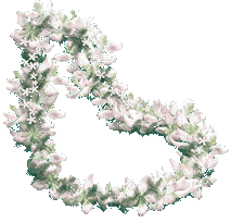 lei