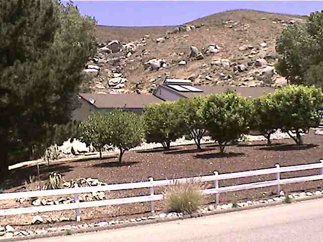 Orchard
