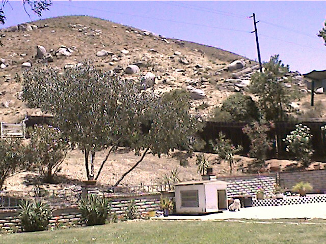 back yard below the corral
