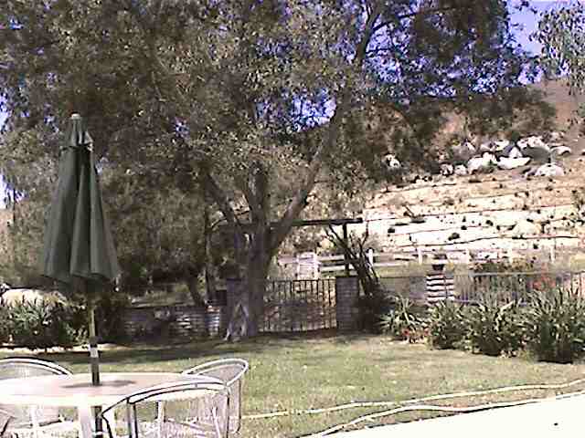 back yard below the corral