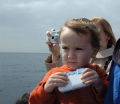 Whale watching