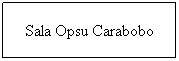 Cuadro de texto: Sala Opsu Carabobo
