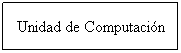 Cuadro de texto: Unidad de Computaci�n
