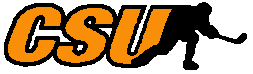 CSU Club Hockey