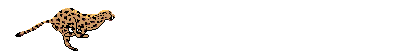cheetah.gif (45054 bytes)