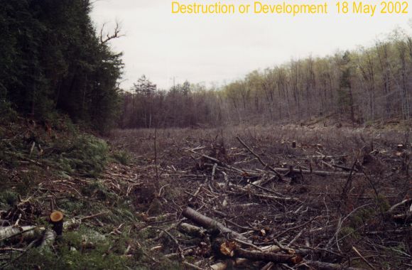 This was a marshy waste land why all the fuss?