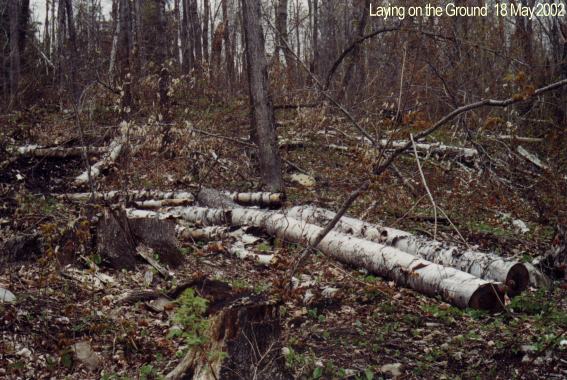 Well some trees have to be cut so houses may be built