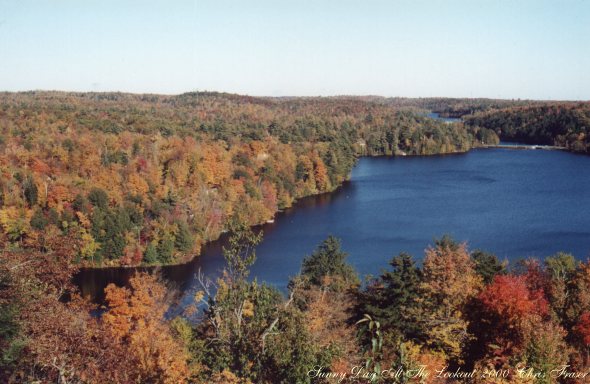View from the lookout