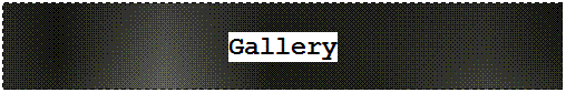 Text Box: Gallery
