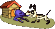 Cabane a chien