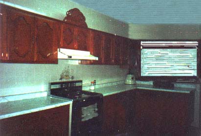 THIS PICTURE SHOWS A VIEW OF ONE SIDE OF THE KITCHEN