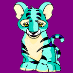 magicoddball26 the blue Kougra, oldest of the four