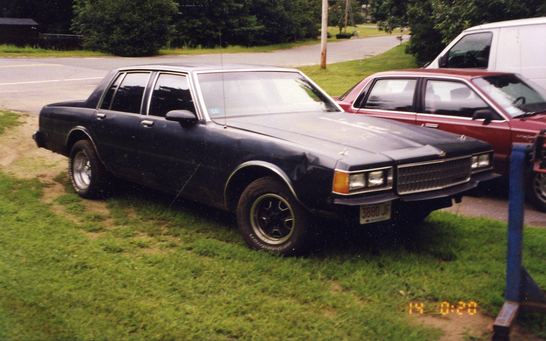 caprice