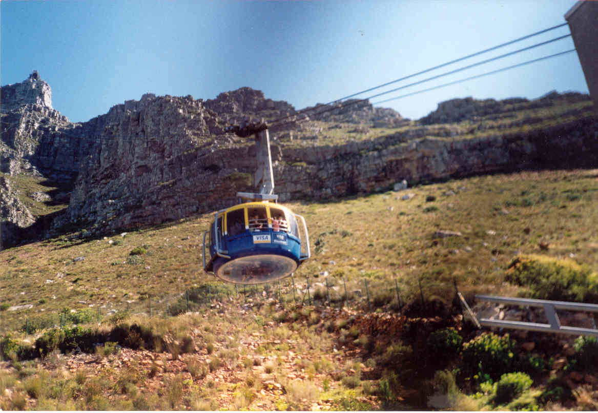 In the cable to the top of Table Mountain