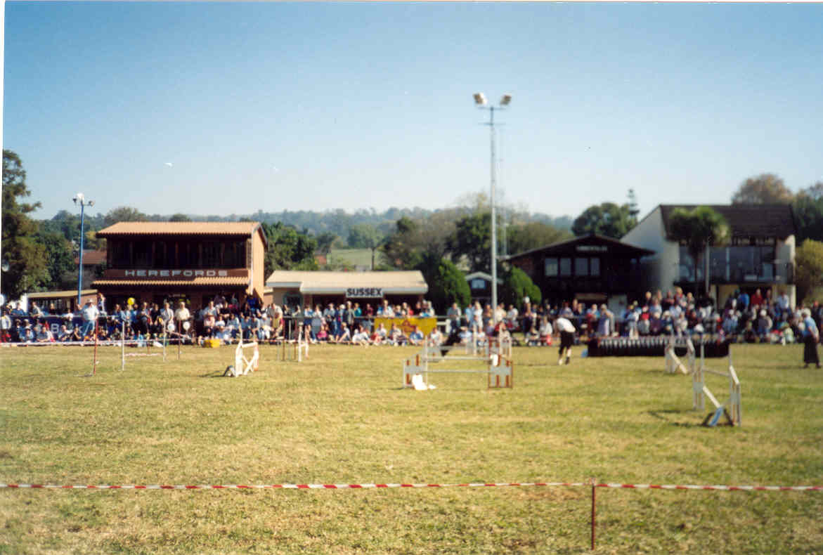 Show ground-dogs demo
