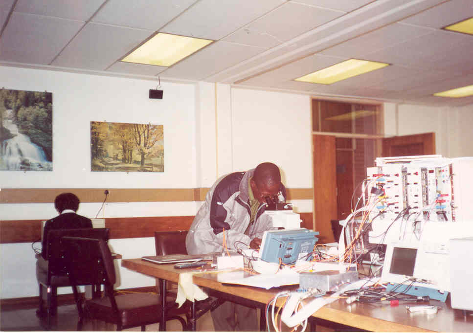 High Speed data Acquisition Experiment at iThemba