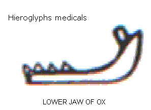 Hieroglyphs of medical relevance