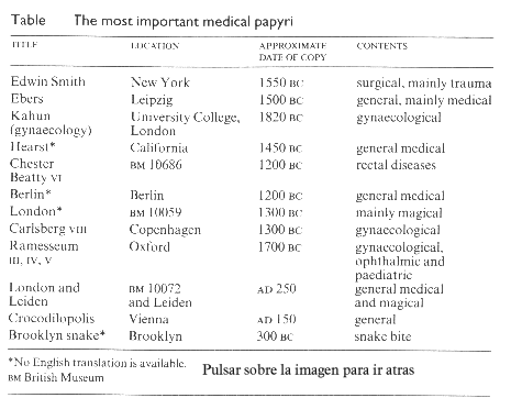 Los papiros medicos