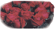 Diselo con flores