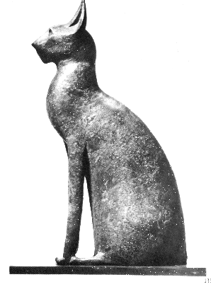 sarcofago de gato