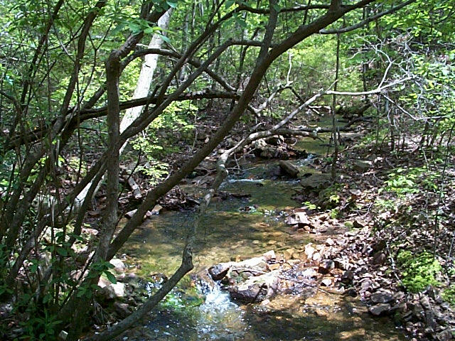 Mountain Stream