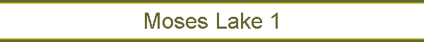 Moses Lake 1