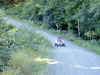 DSCN0040(3).JPG (207041 bytes)