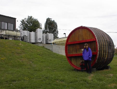 timber legitimates stainless steel