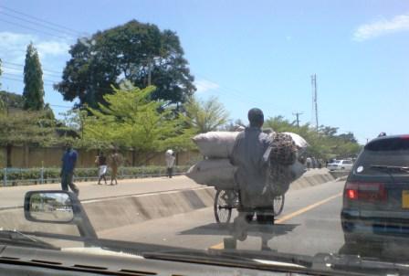 Guta transporting charcoal in sacks