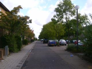 Typical street, Fishermead