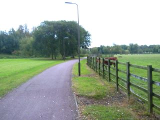 Redway alongside working farm