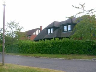 Executive housing