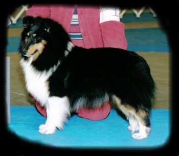 belindashow.jpg (18034 bytes)