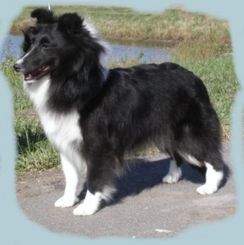 libby2.jpg (24463 bytes)