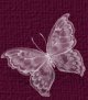 lovebutterfly.jpg (2748 bytes)