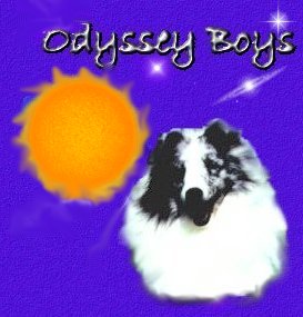 odysseyboyssybl2.jpg (20872 bytes)