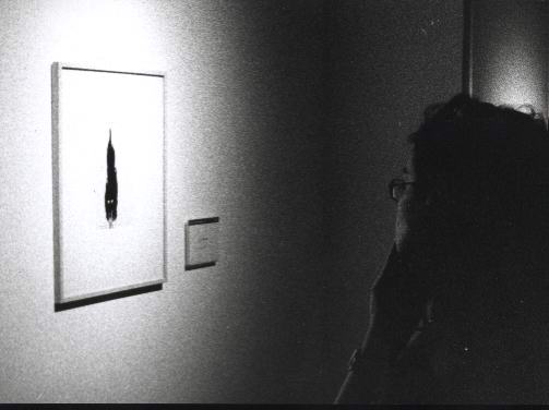 Women viewing a Salvador Dali's drawing, Bs. As. Nat. Fine Art Museum