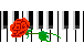 A rose in memory of Eladia Blazquez