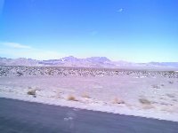 Desert, mountains, and Joshua Trees