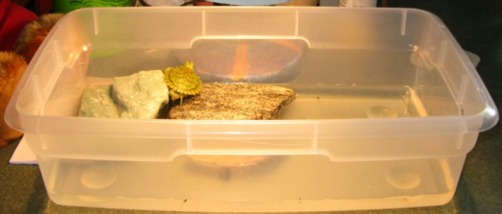 Larry the Y's new home
