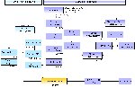 Master Seikichi Odo Lineage