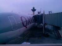 plane trip!
