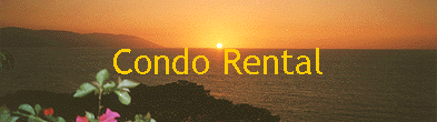 Condo Rental