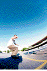 rodneymoviepic.gif