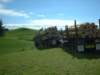 Photo Number 5