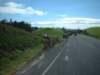 Photo Number 9