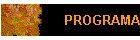 PROGRAMA