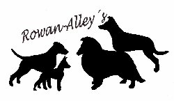 Kennel Rowan-Alley's